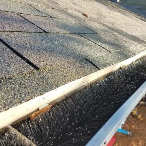 Deluxa Dakgoot Egel - 4 Meter Dakgootbescherming