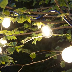 Dreamled Decoratieve verlichting - 10 LED lampen