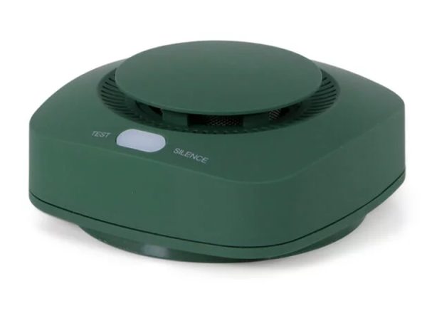 BRAINZ Rookmelder Groen