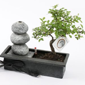 Bonsai Boompje Met Waterval Ornament - Zenn Stenen